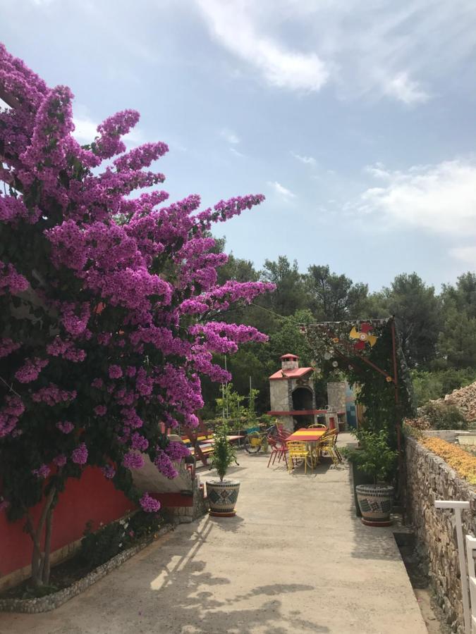 Lipovac Resort Ficus بيليس المظهر الخارجي الصورة